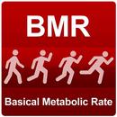 BMR APK