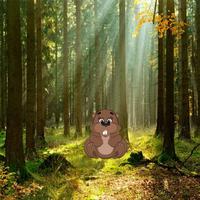 Beaver Forest Escape 스크린샷 1