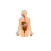 Belajar Biologi APK