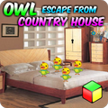 Owl Escape From Country House