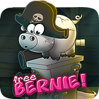 Free Bernie Pirates icono