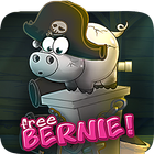 Free Bernie Pirates 아이콘