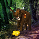 Big Mammoth Land Escape APK