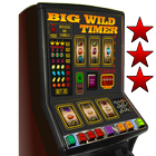 آیکون‌ Big Wild Timer