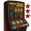 Big Wild Timer Slot Machine - 