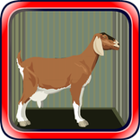 Escape games zone 112