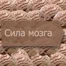 Сила мозга APK