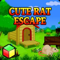 Najlepsze gry escape - cute rat uciec plakat