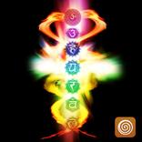 Chakra Balance System