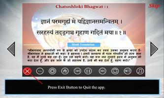 Chatushloki  Bhagwat imagem de tela 2