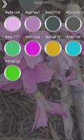 Color Code Detector, Camera Color Finder, Colors ภาพหน้าจอ 2