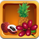Coloring Book Fruits APK
