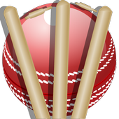 Cricket Team DressUp icon