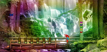 Escape From Birds Forest