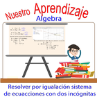 Resolver por igualación sistema de ecuaciones ícone