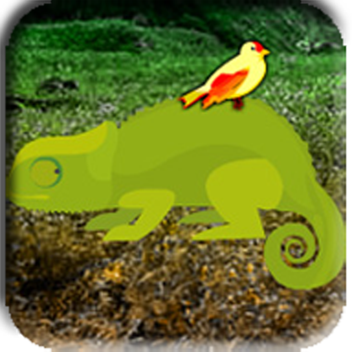 Fantasy Valley Escape