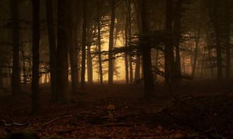 Fear Forest Escape capture d'écran 2