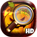 Find The Hidden Object APK