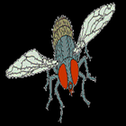 Fly Bug icono