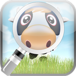 Find The Cow Memory Game