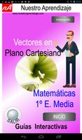 Poster Vectores en plano cartesiano