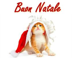 Natale eCards & Saluti screenshot 1