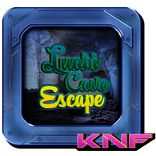 Can You Escape From Luobi Cave