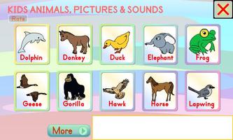 Kids Animals Pictures & Sounds poster