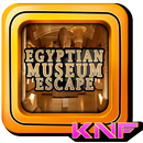 Can You Escape Egyptian Museum APK
