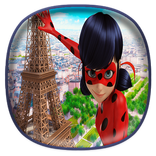 Miraculous Ladybug Memory Cards