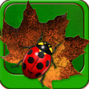 Leaf Rider APK