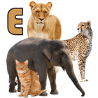 Animals Name Animal Sounds Ani icon