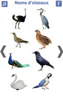 les noms des oiseaux avec phot poster