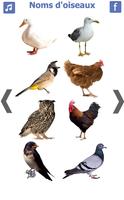 2 Schermata les noms des oiseaux avec phot