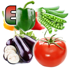 Learn Vegetables Name-icoon