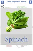 Learn Vegetables Name screenshot 1