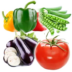 أسماء الخضروات وأنواع الخضروات XAPK 下載