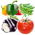 ikon أسماء الخضروات