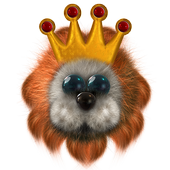 Pushi