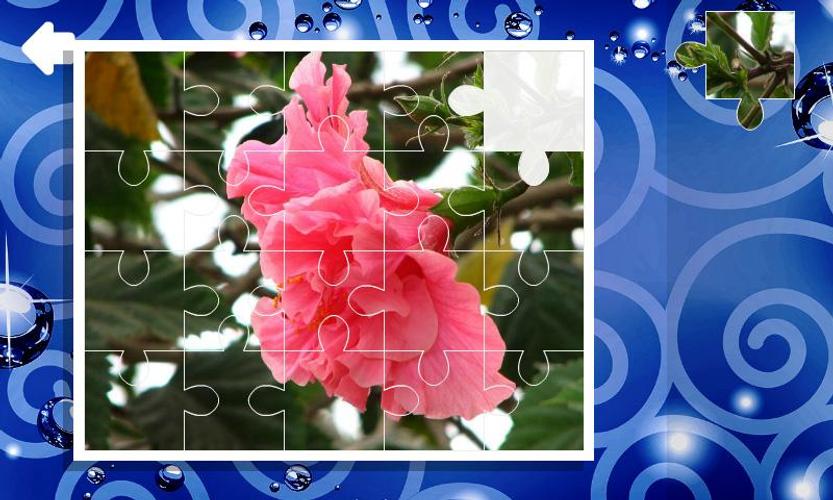 Jigsaw Puzzles Flowers Apk 1 0 2 Download For Android Download Jigsaw Puzzles Flowers Apk Latest Version Apkfab Com