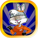 Pet Caring Bunny APK
