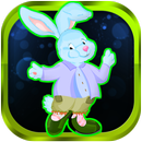 Pet Caring Rabbit APK