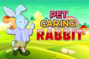Pet Caring Rabbit Affiche