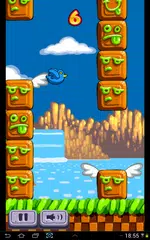 Pinchi Bird APK download