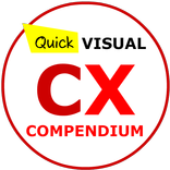 Quick Visual CX Customer Experience