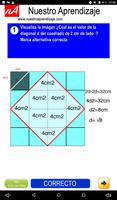 Calculan  la diagonal de cuadrado de 1 cm lado 스크린샷 3