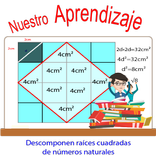 Aplican descomposición de raíces cuadradas