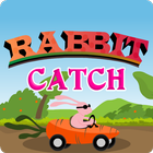 Rabbit catch icon