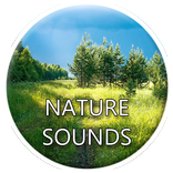 ”Nature Sounds