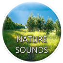 Nature Sounds APK